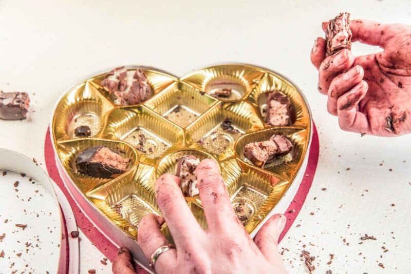 Alimentos proibidos: a lista completa do que jamais deve chegar ao pote do seu pet